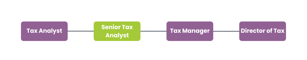 Senior Tax Analyst Senior Tax Analyst